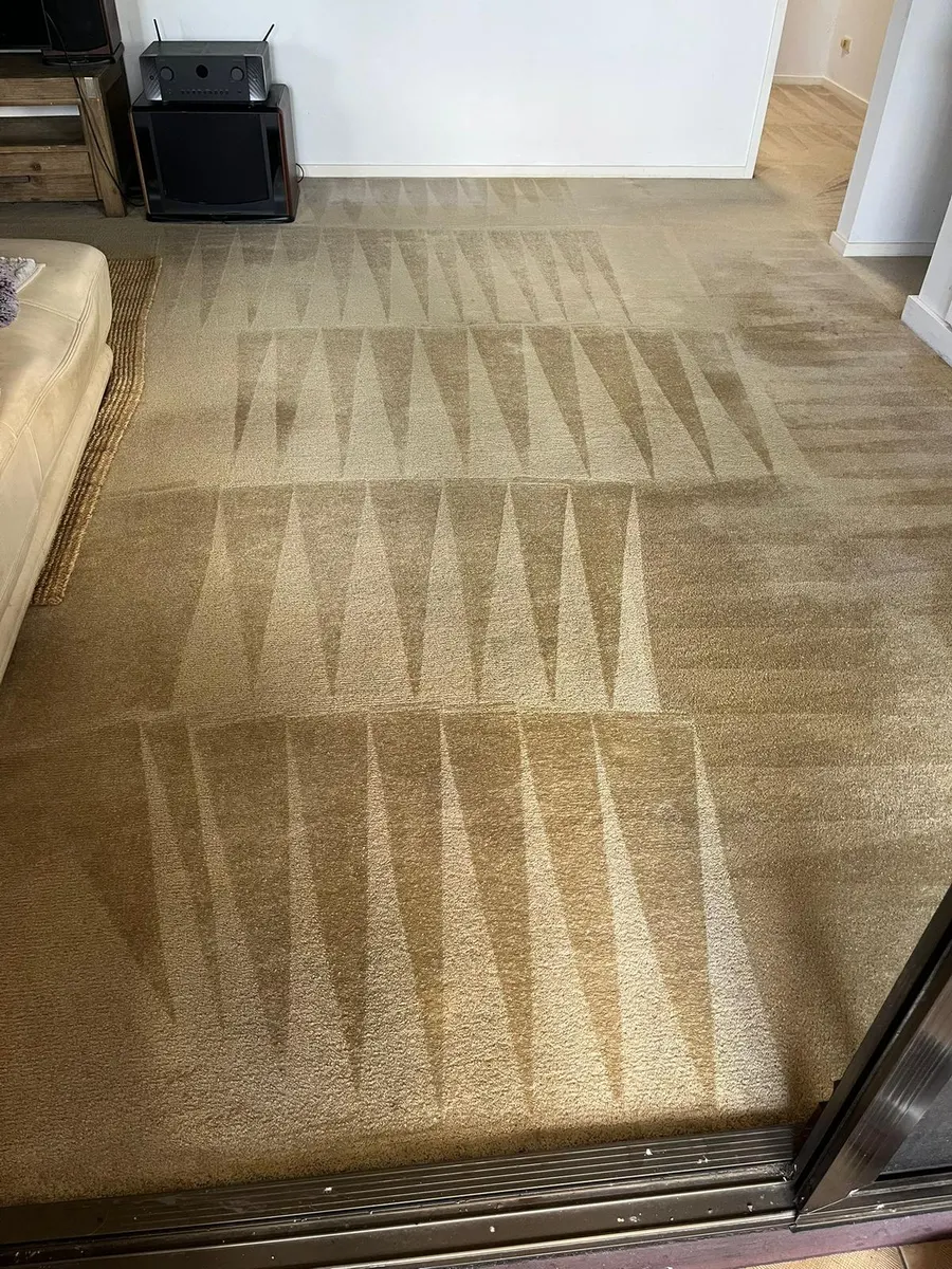 Carpet steam clean